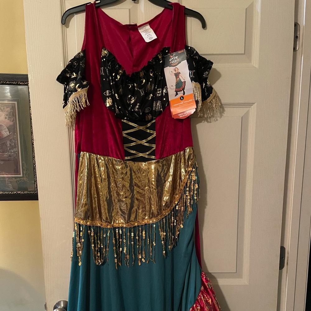Fortune Teller Costume New with tags. Only missing headpiece.